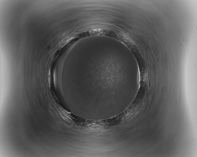 X0000085760868200703161115