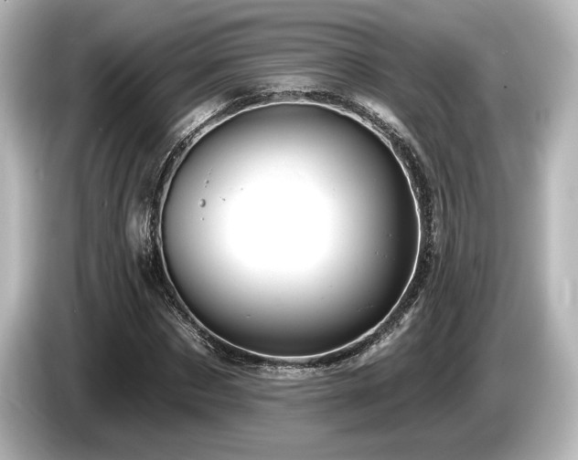 X0000085760873200703161115