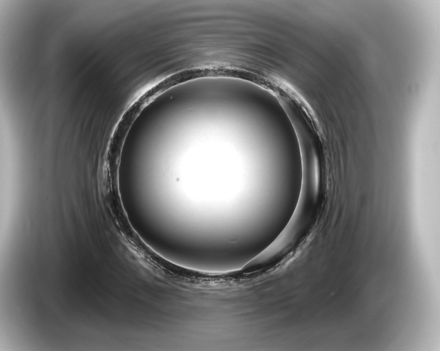 X0000085760876200703161115