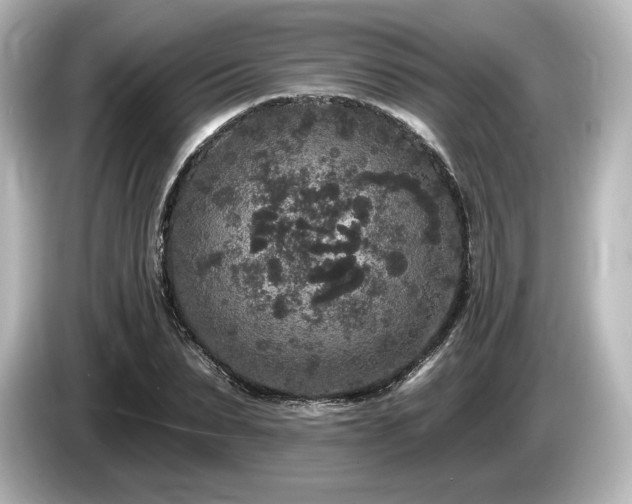 X0000085760879200703161115