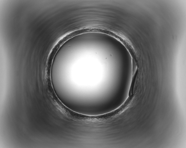 X0000085760880200703161115