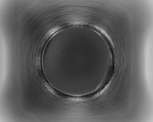 X0000085760881200703161115