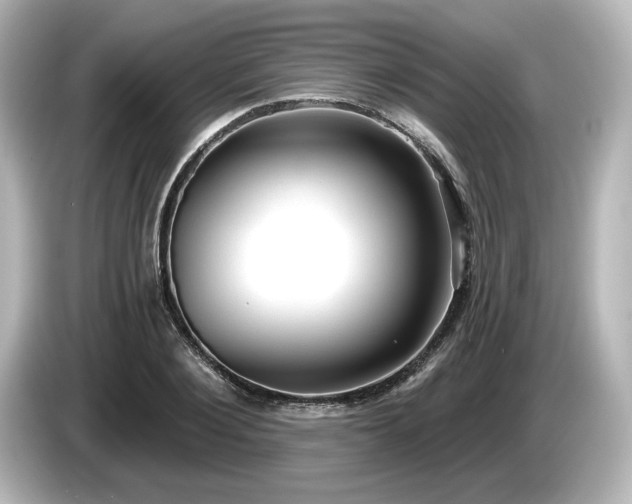 X0000085760884200703161115