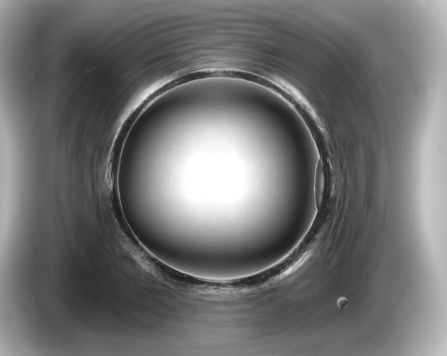 X0000085760885200703161115