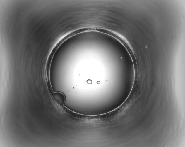 X0000085760887200703161115