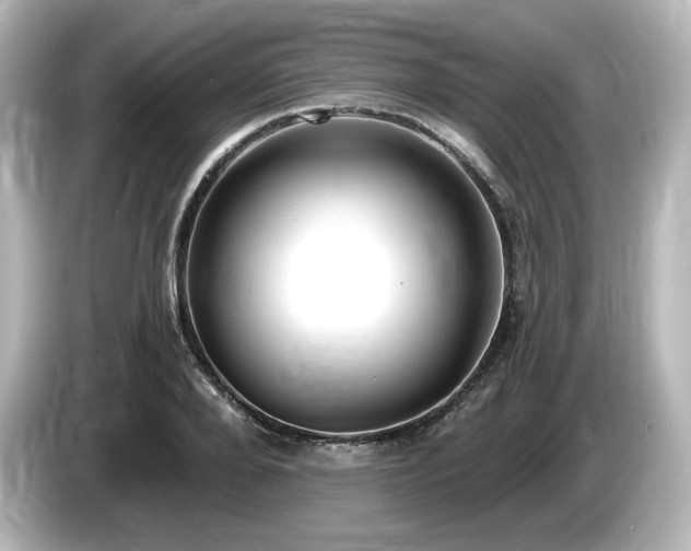 X0000085760888200703161115