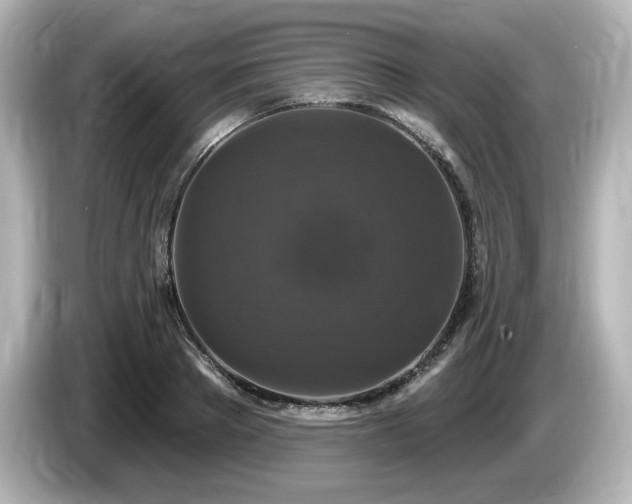 X0000085760889200703161115