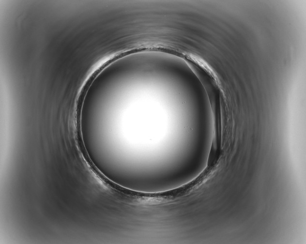 X0000085760894200703161115
