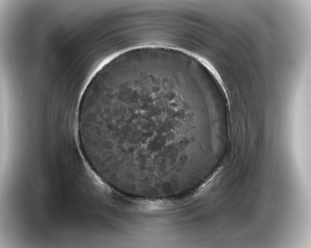 X0000085760895200703161115