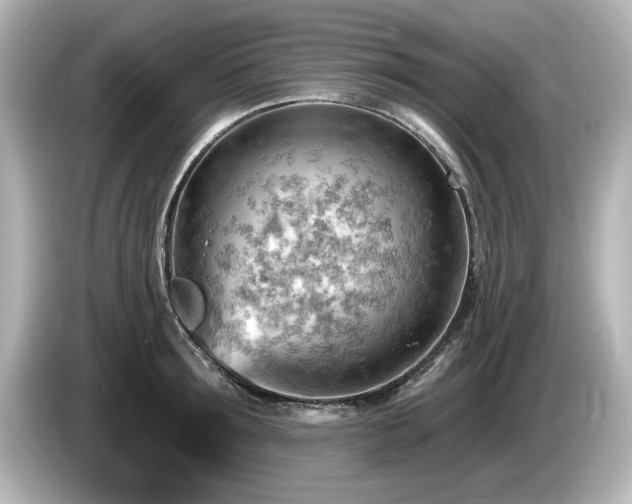 X0000085760899200703161115