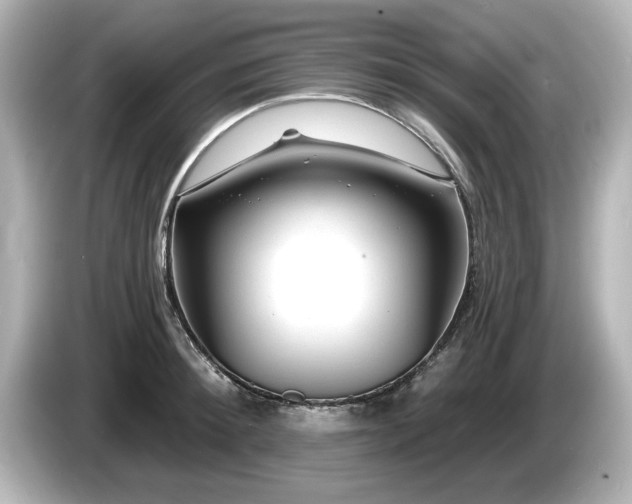 X0000085760900200703161115