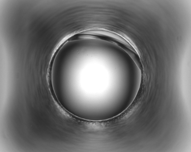 X0000085760901200703161115