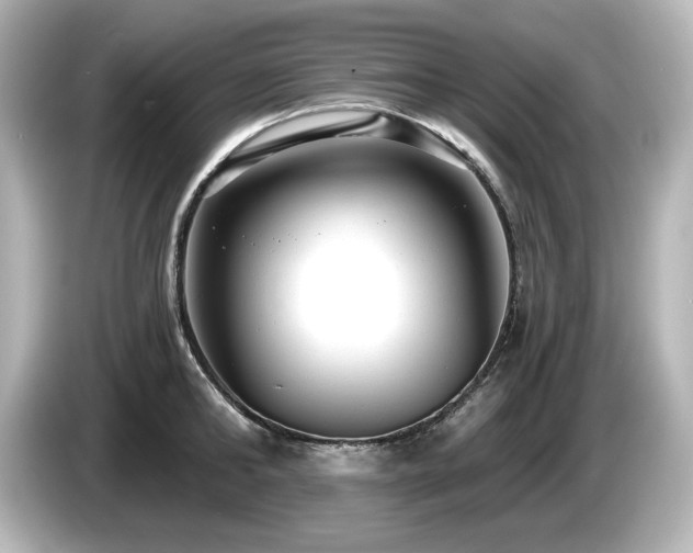 X0000085760902200703161115