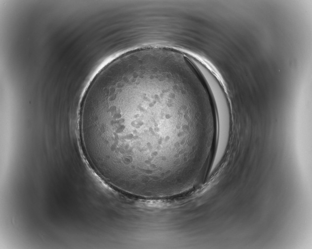 X0000085760903200703161115