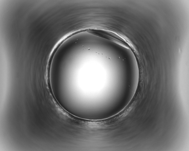 X0000085760904200703161115