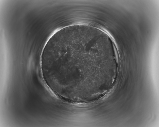 X0000085760907200703161115