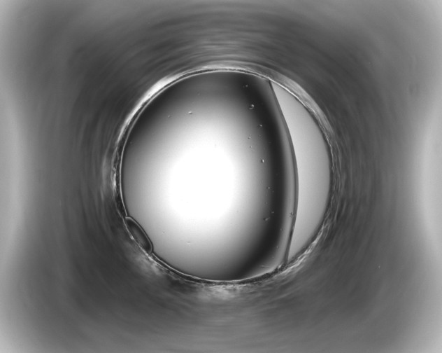 X0000085760908200703161115
