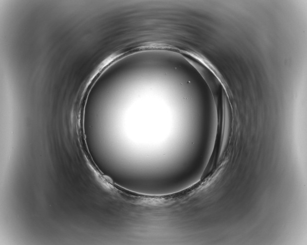 X0000085760909200703161115