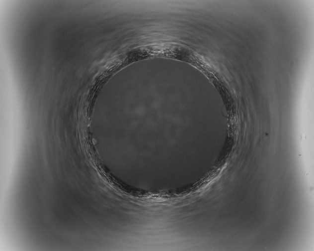 X0000085760913200703161114