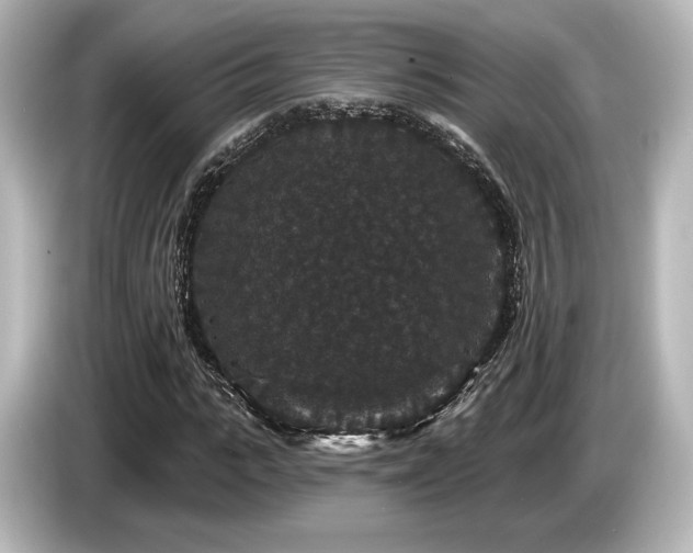 X0000085760919200703161114