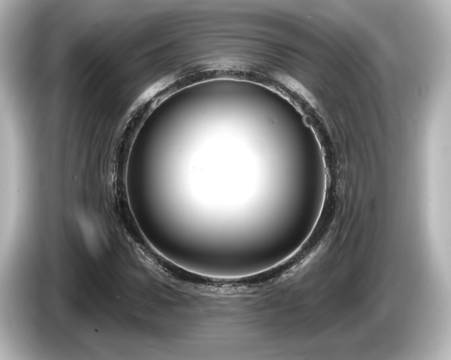 X0000085760922200703161114