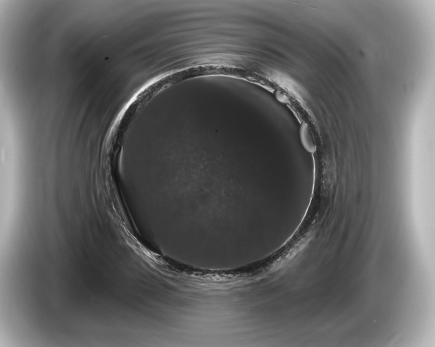 X0000085760923200703161114