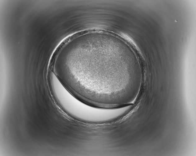 X0000085760924200703161114