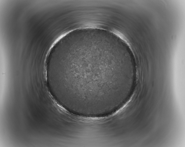 X0000085760925200703161114