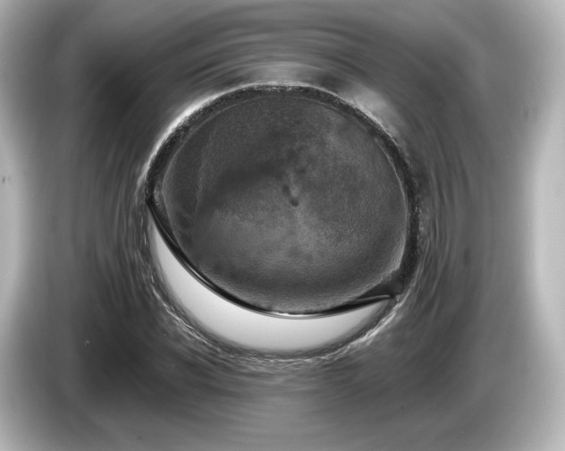 X0000085760926200703161114