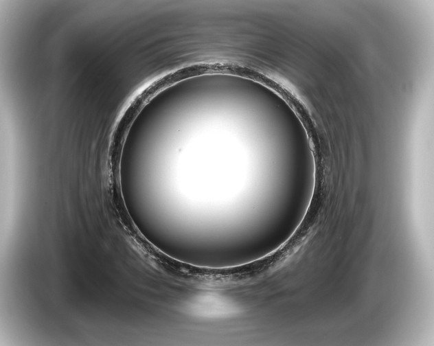 X0000085760927200703161114
