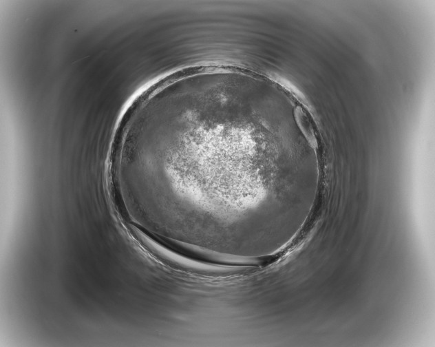 X0000085760928200703161114
