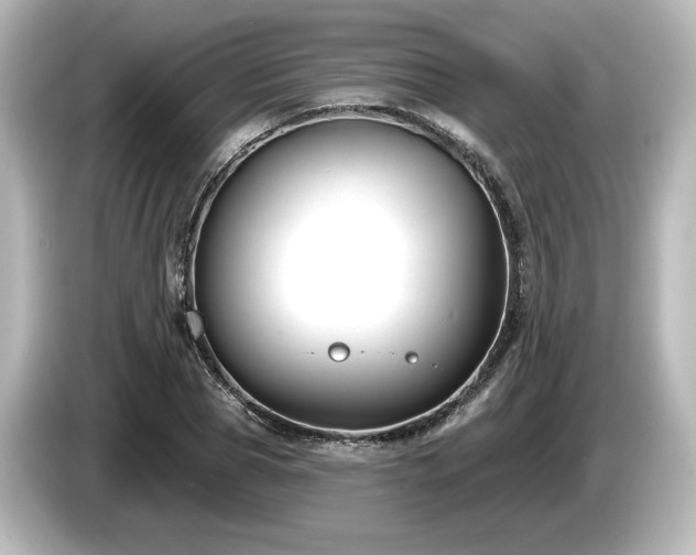 X0000085760929200703161114