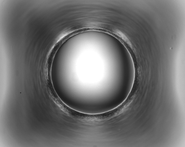X0000085760931200703161114