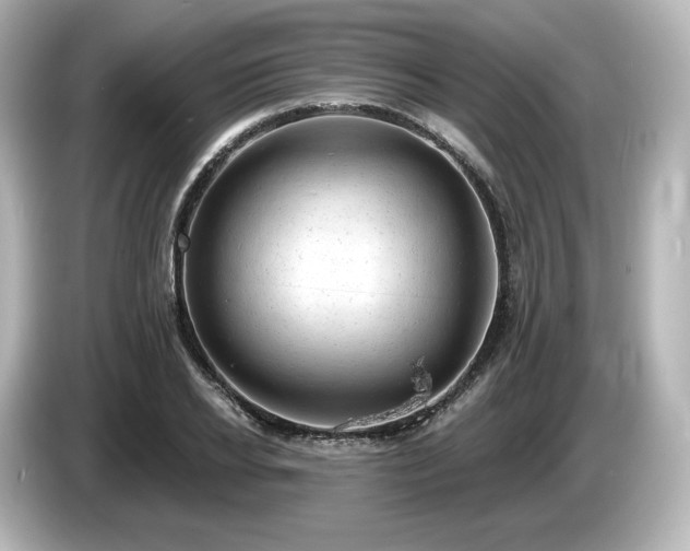 X0000085760934200703161114
