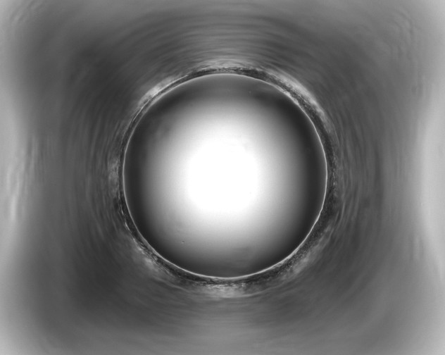 X0000085760937200703161114
