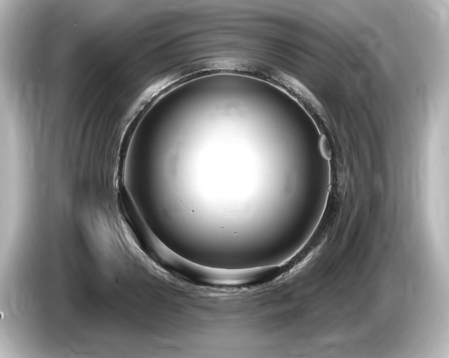 X0000085760938200703161114