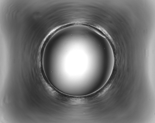 X0000085760939200703161114