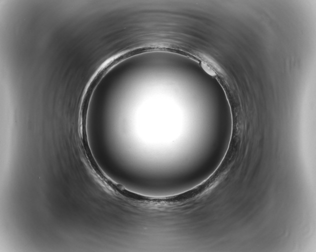 X0000085760940200703161115