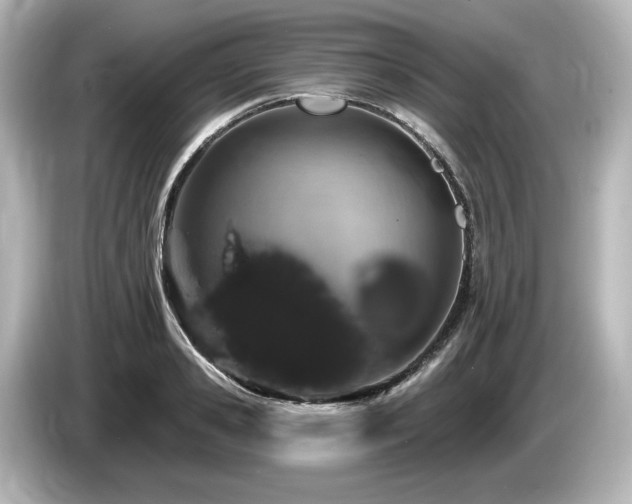 X0000085760941200703161115