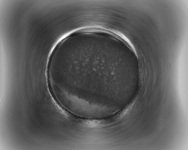 X0000085760943200703161115