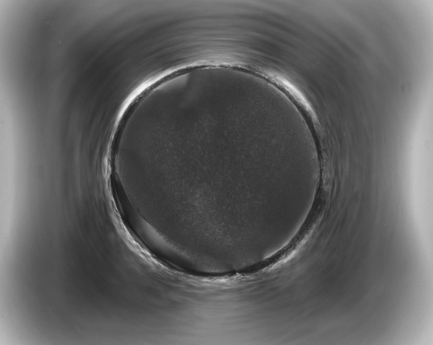 X0000085760944200703161115