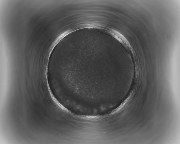X0000085760946200703161115