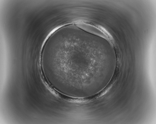 X0000085760948200703161115
