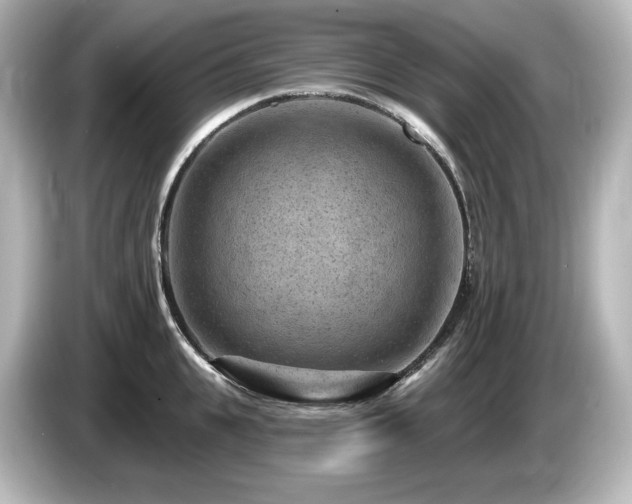 X0000085760951200703161115