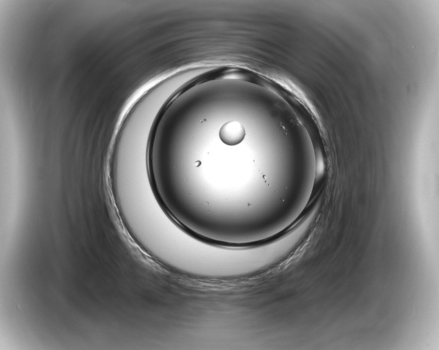 X0000085760952200703161115