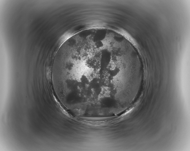 X0000085760953200703161115