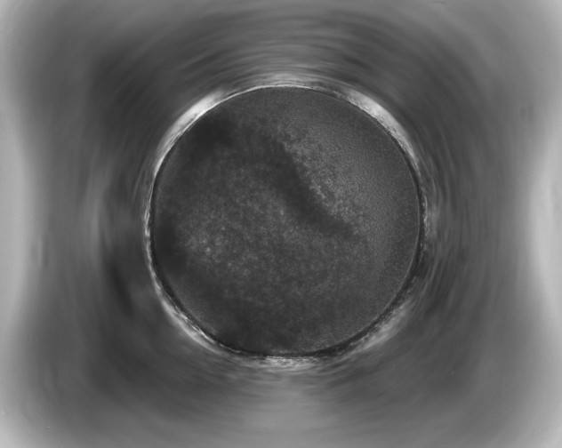 X0000085760954200703161115