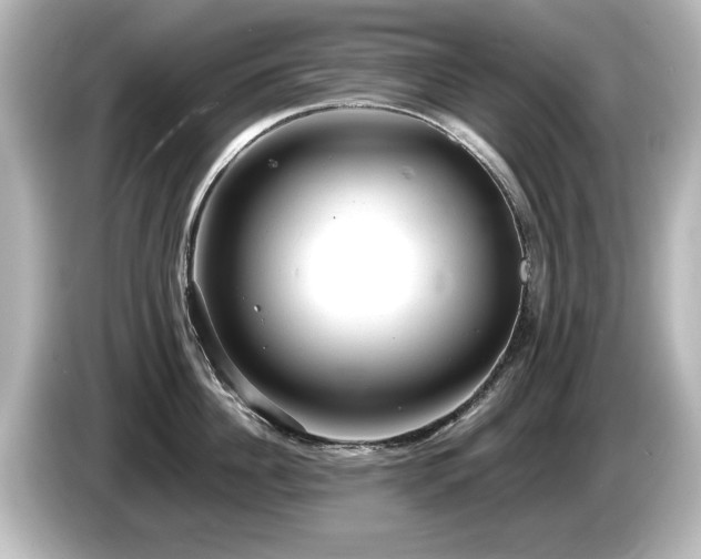 X0000085760956200703161115