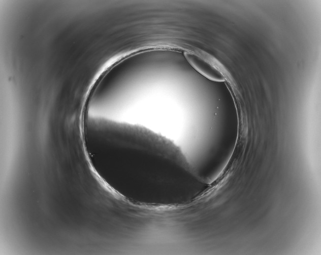 X0000085760958200703161115