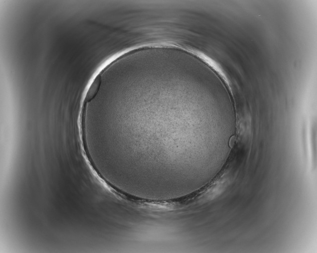X0000085760959200703161115